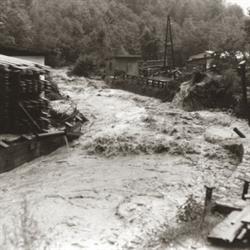 1959+Hochwasser+Schartnerwehr.jpg
